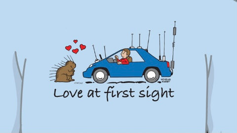 Love at First Sight Hoodie
