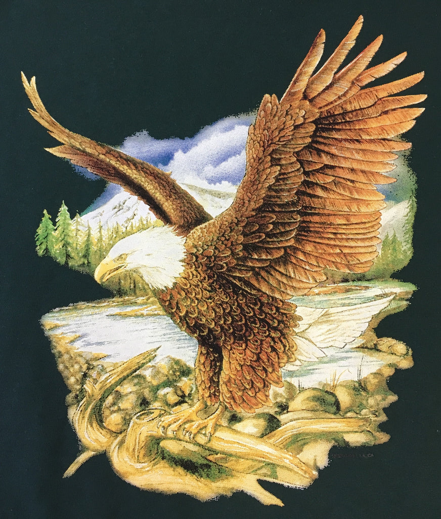 Eagle landing shirt